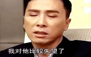 甄子丹赵文卓13年骂战真相！导演设局骗巨星杨幂景甜也站队